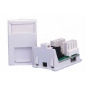 Cat6 UTP RJ45 Modules - LJ6C Size