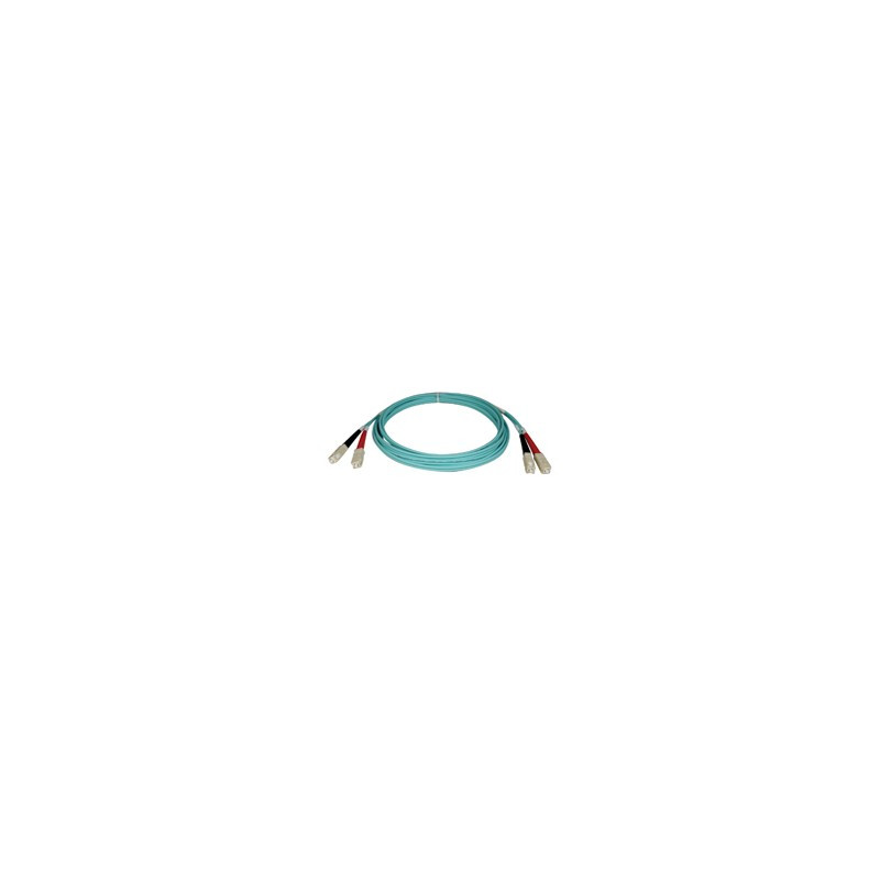 3.0m (10-ft.) 10Gb Duplex MMF 50/125 LSZH Patch Cable, SC/SC