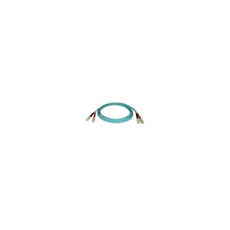 3.0m (10-ft.) 10Gb Duplex MMF 50/125 LSZH Patch Cable, SC/SC