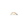 Multimode Fiber Optics 10-m (33-ft.) Duplex MMF 62.5/125 Patch Cable, LC/ST