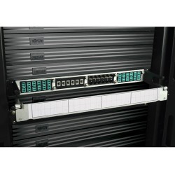 Tripp Lite High Density Copper / Fiber Enclosure Panel, 4-Cassette Capacity 1U | Tripp Lite Patch Panels