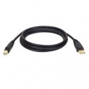 Tripp Lite USB 2.0 Hi-Speed A/B Cable (M/M), 1.83 m (6-ft.)