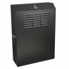 Tripp Lite 5U SmartRack Low-Profile Wall-Mount Rack Enclosure Cabinet Vertical-Mount Server-Depth | Tripp Lite Branded Racks