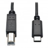 Tripp Lite USB 2.0 Hi-Speed Cable, USB Type-B Male to USB Type-C (USB-C) Male, 1.83 m (6-ft.) | Tripp Lite USB Cables