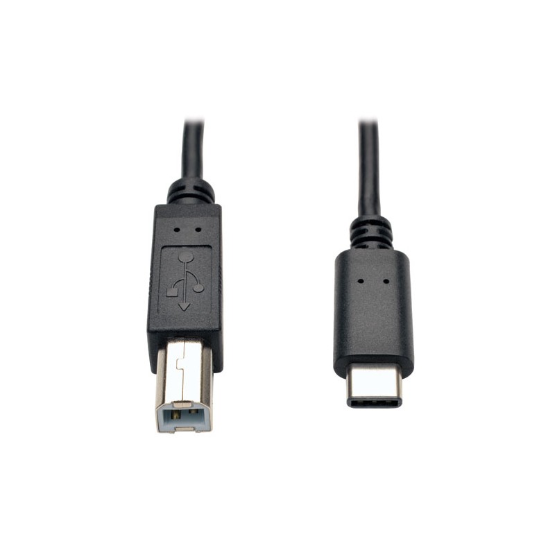 Tripp Lite USB 2.0 Hi-Speed Cable, USB Type-B Male to USB Type-C (USB-C) Male, 1.83 m (6-ft.)