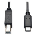 Tripp Lite USB 2.0 Hi-Speed Cable, USB Type-B Male to USB Type-C (USB-C) Male, 1.83 m (6-ft.)