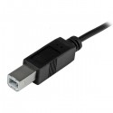 StarTech.com USB-C to USB-B Cable - M/M - 1m (3ft) - USB 2.0