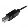 StarTech.com USB-C to USB-B Cable - M/M - 1m (3ft) - USB 2.0 | StarTech.com USB Cables