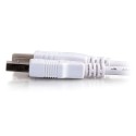 CablesToGo 1m USB 2.0 A/B Cable