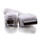 CablesToGo 1m USB 2.0 A/B Cable