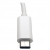 Tripp Lite USB 3.1 Gen 1 USB Type-C (USB-C) to Gigabit Ethernet NIC Network Adapter, 10/100/1000 Mbps, White | Tripp Lite Cable 