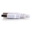 CablesToGo 2m USB 2.0 A/B Cable