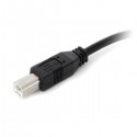 StarTech.com 10m USB AM/BM