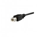 StarTech.com USB 2.0 Panel Mount Cable B/B