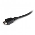 StarTech.com UUSBMUSBMF6 USB cable