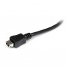 StarTech.com  UUSBMUSBMF6 USB cable