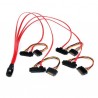 StarTech.com  SAS808782P50 Serial Attached SCSI (SAS) cable 