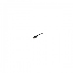 StarTech.com DP2DVID2