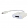 C2G USB-C/DisplayPort | C2G Cable Interface/Gender Adapters
