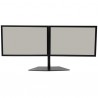 StarTech.com Dual-Monitor Stand | StarTech.com Flat Panel Desk Mounts