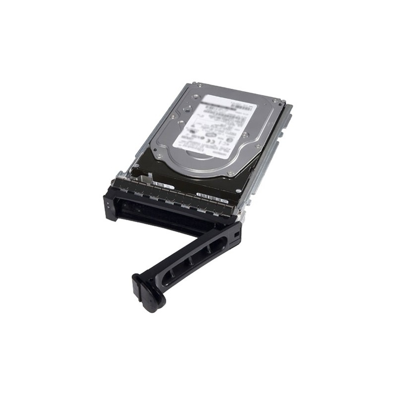 DELL 2TB SAS