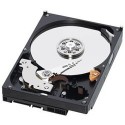 Origin Storage 500GB, 3.5" SATA