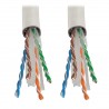 Tripp Lite N222-01K-WH | Tripp Lite Network Cables