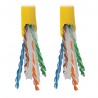 Tripp Lite N222-01K-YW | Tripp Lite Network Cables