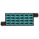 Tripp Lite 40Gb to 10Gb Breakout Cassette - (x2) 12-Fiber OM4 MTP/MPO to (x12) LC