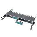 Tripp Lite 10GbE High Density Pass-Through Cassette - (x12) LC Duplex Connection