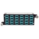 Tripp Lite 10GbE High Density Pass-Through Cassette - (x12) LC Duplex Connection