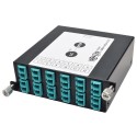 Tripp Lite 100Gb / 120Gb to10Gb Breakout Cassette, 24-Fiber OM4 MTP/MPO to ( x12 ) LC Duplex