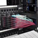 Tripp Lite MTP/MPO Multimode Patch Cable, 12 Fiber, 40/100 GbE, 40/100GBASE-SR4, OM4 Plenum-Rated (F/F), Push/Pull Tab, Magenta,