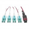Tripp Lite MTP/MPO to 8xLC Fan-Out Patch Cable, 40 GbE, 40GBASE-SR4, OM4 Plenum-Rated, Push/Pull Tab, Magenta, 5M | Tripp Lite F