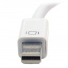 Tripp Lite Keyspan Mini DisplayPort 1.2 to DVI  Active Adapter Converter (Mini-DP Male to DVI Female), 15.24 cm (6-in.) | Tripp 