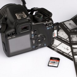 PNY SDXC 128GB High Performance | PNY Flash Memory