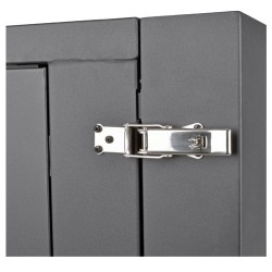 Tripp Lite SmartRack 12U Server-Depth Wall-Mount Rack Enclosure Cabinet with Clear Acrylic Window, Hinged Back | Tripp Lite Bran