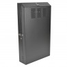 Tripp Lite 6U SmartRack Low-Profile Wall-Mount Rack Enclosure Server Cabinet Vertical-Mount Server-Depth | Tripp Lite Rack & Cab