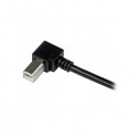 StarTech.com 3m USB 2.0 A - B m/m