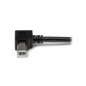 StarTech.com 3m USB 2.0 A - B m/m