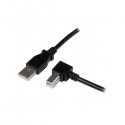 StarTech.com 3m USB 2.0 A - B m/m
