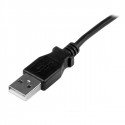 StarTech.com 1m, Mini USB-A - Mini-B