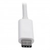 Tripp Lite USB Type-C (USB-C) to Displayport External Video Adapter (M/F), DisplayPort Alternate Mode, 3840 x 2160 (4K x 2K) @ 3