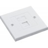 Cat6 UTP RJ45 Loaded Faceplates
