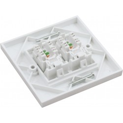 Cat6 UTP RJ45 Loaded Faceplates