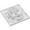 Cat6 UTP RJ45 Loaded Faceplates