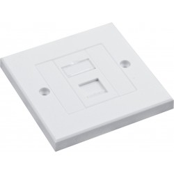 Cat6 UTP RJ45 Loaded Faceplates