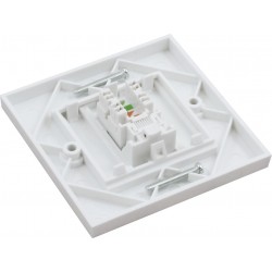 Cat6 UTP RJ45 Loaded Faceplates