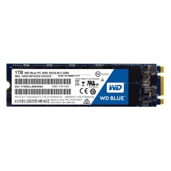 Western Digital Blue PC SSD 1TB | Western Digital SSD Drives
