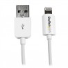 StarTech.com 3m, Lightning - USB